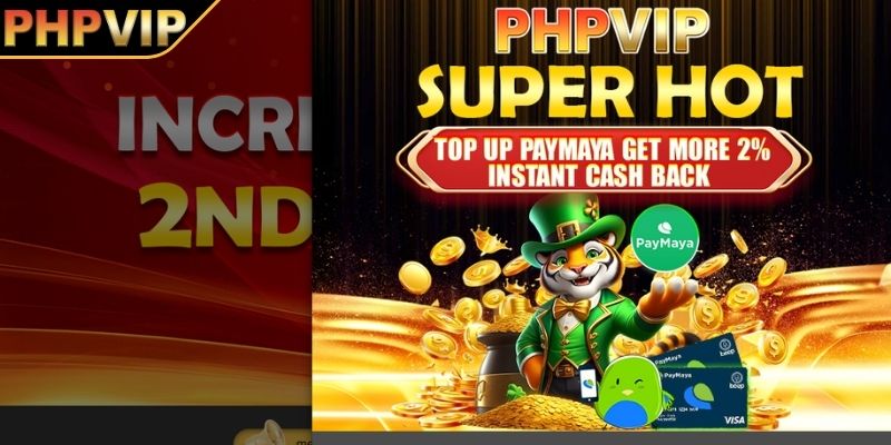 Kasaysayan ng Pagkakatatag ng PHPVIP