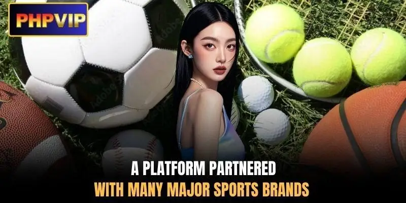 A platform partnered with many major sports brands A platform partnered with many major sports brands