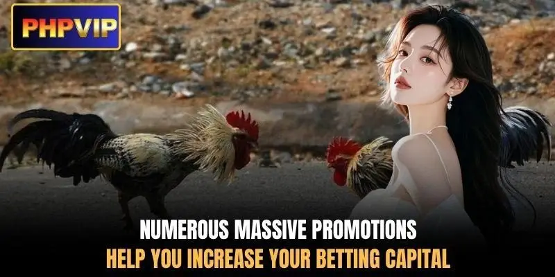 Numerous massive promotions help you increase your betting capital