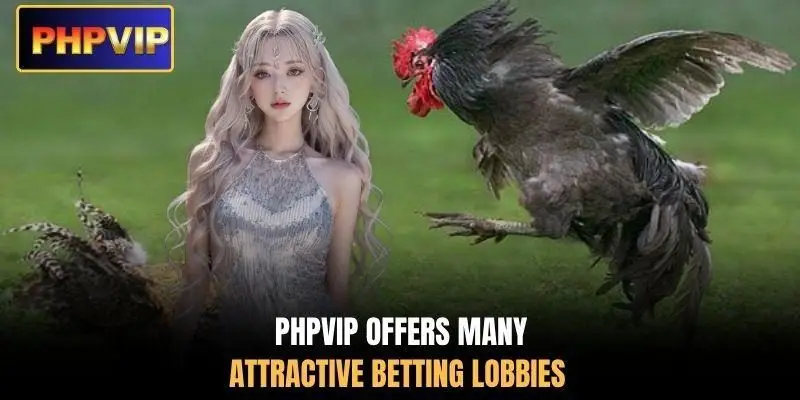 PHPVIP offers many attractive betting lobbies